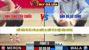 TRẬN 3 CPC2 NGÀY 3/5/2026