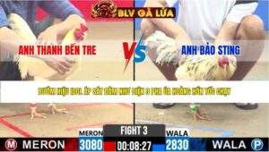 TRẬN 3 CPC2 NGÀY 6/5/2026