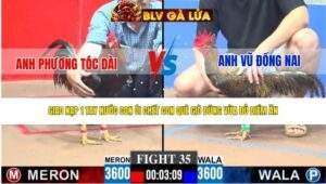 TRẬN 35 CPC3 NGÀY 4/5/2026