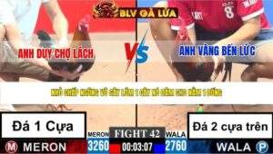 TRẬN 42 CPC3 NGÀY 4/5/2026