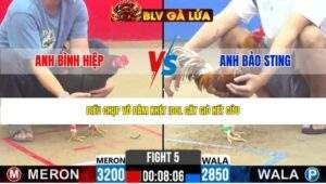 TRẬN 5 CPC2 NGÀY 6/5/2026
