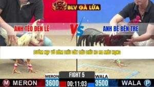 TRẬN 5 CPC2 NGÀY 8/5/2026