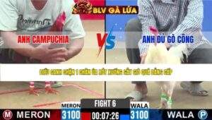 TRẬN 6 CPC2 NGÀY 3/5/2026
