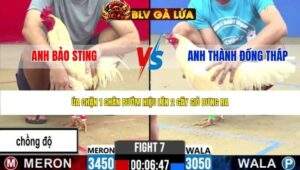 TRẬN 7 CPC2 NGÀY 1/5/2026