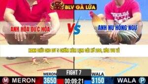 TRẬN 7 CPC2 NGÀY 5/5/2026